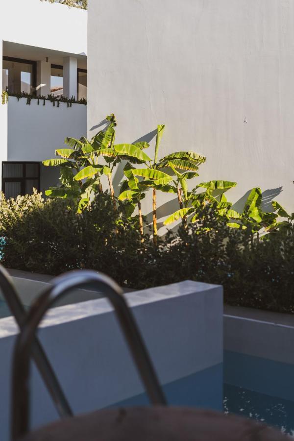 Cavo Vezal (Adults Only) Laganas Exterior foto